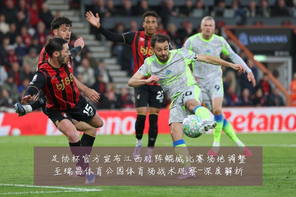足协杯官方宣布江西对阵鲲城比赛场地调整至瑞昌体育公园体育场战术观察-深度解析